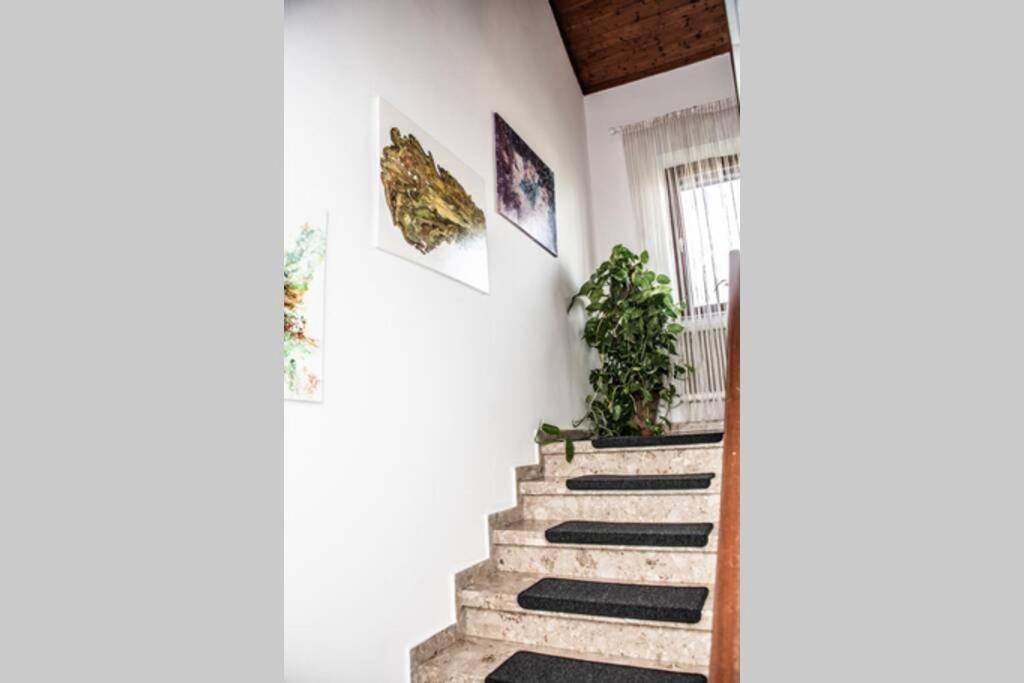 Apartment Pouringraz Fuer Kunst- Und Tennisliebhaber Buitenkant foto