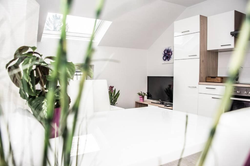 Apartment Pouringraz Fuer Kunst- Und Tennisliebhaber Buitenkant foto